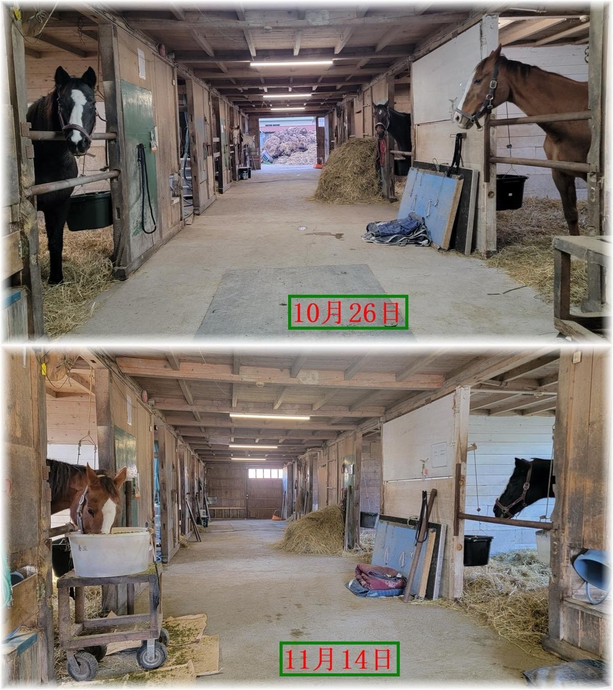 a3597aceb09add5d1a9ecf64c2236d2e-1763313125.jpg a3597aceb09add5d1a9ecf64c2236d2e-1763313125.jpg